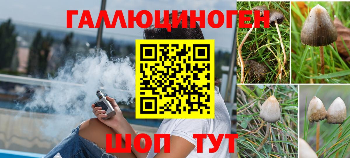 Галлюциногенные грибы прущие грибы  Вход с VPN  Ступино 