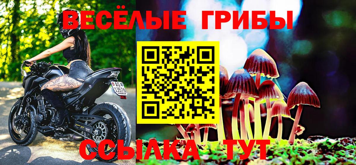Псилоцибиновые грибы Cubensis Ступино